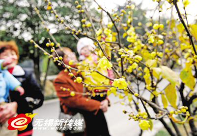 �o(w��)�a��÷�@�Mɽ�L(f��ng)���^(q��) �D÷��(sh��)������(j��ng)�G