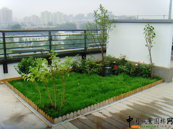 奧運村屋頂綠化--2009年北京市優質工程