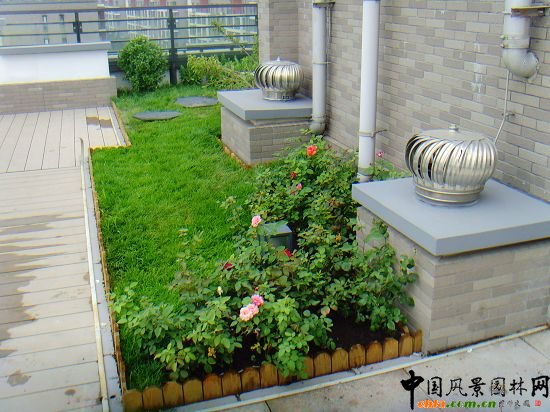 奧運村屋頂綠化--2009年北京市優質工程