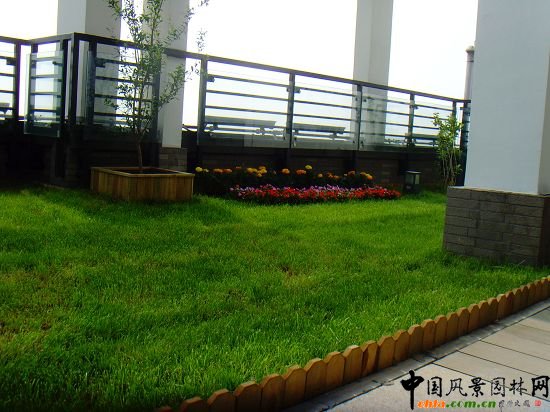 奧運(yùn)村屋頂綠化--2009年北京市優(yōu)質(zhì)工程