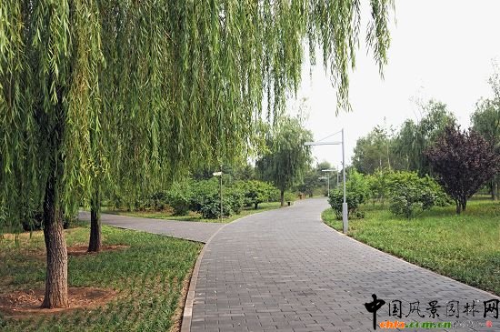 園內(nèi)主路