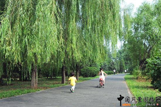 園內(nèi)主路