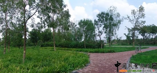 二級園路植物景觀