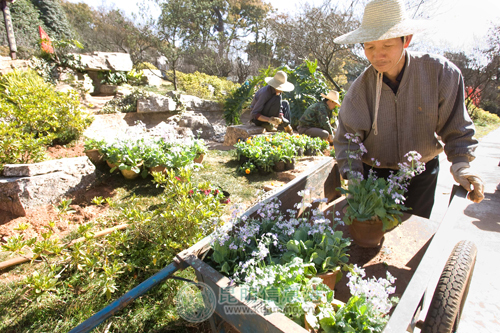 ��������̶���@�k��÷��չ���A���л���