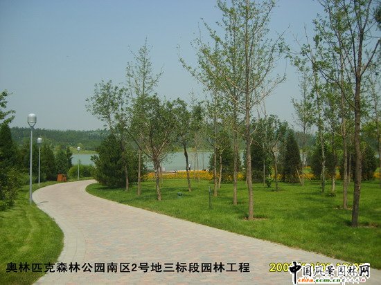 Wƥɭֹ@υ^(q)2̖(bio)Έ@־G