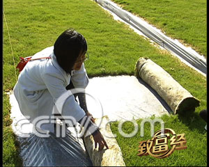 草坪經(jīng)紀(jì)人周云霞：費(fèi)盡心機(jī)的賣(mài)草姑娘(圖)