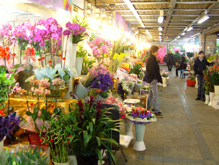 杭州年宵花花市