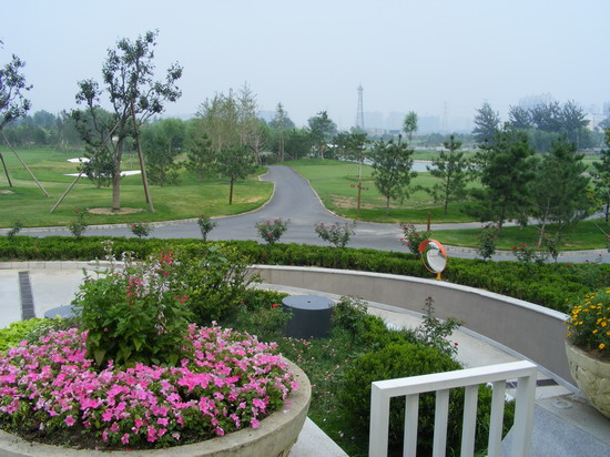 2008(yu)|(zh)֮ӞߠG