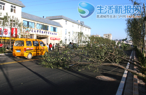 ������һ��L(f��ng)���^ ����20���е���