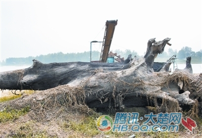 �c���g�[��һ��