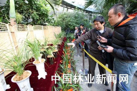 D鱱ֲ@@LwҶBfmչܽ^rmչrܱͨM߽ܡ