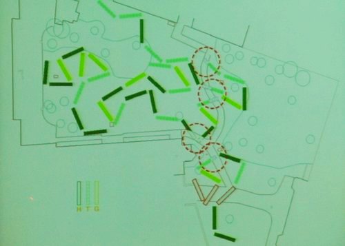 Martha SchwartzOӋ