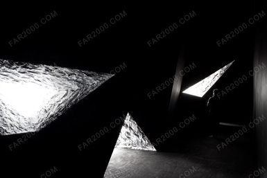 Martha SchwartzOӋ