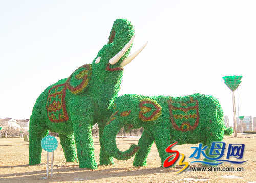 ���_�_�l�^���G�񡱾��^�����b���D��