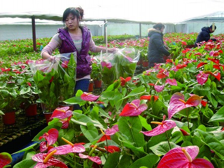 ɽ�|������������������� ��ʡ�������́��M؛