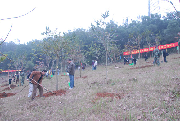 �V���֘I(y��)�نT���M(f��i)ُ(g��u)�I����ֲ��