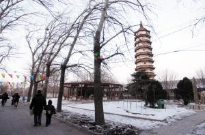 �������@��ò���(�D)