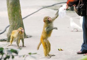 ���@���pՈ�ο�׽��(�M�D)