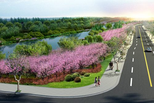 ɳ����·�ςȾG��Ч���D