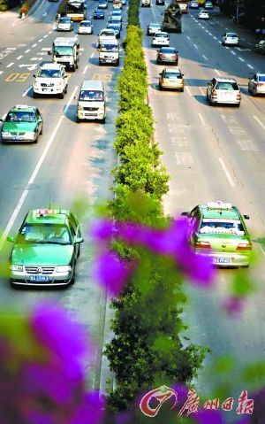 �ٵ����� �Gɫ���\(�D)