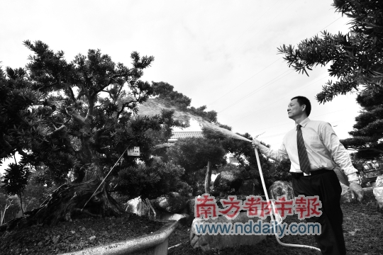 ����Ȥ�@����Ŀǰ��(gu��)��(n��i)�����_�h���r(n��ng)��(ch��ng)