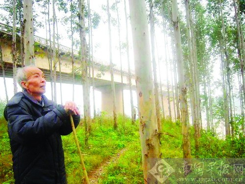 �V������ϡ"�޹�"10���x��(w��)ֲ�� �����Ӕ�(sh��)������^