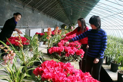 �������ĺ���ļ��r��ʢ�_ �������䌍���ļ�������