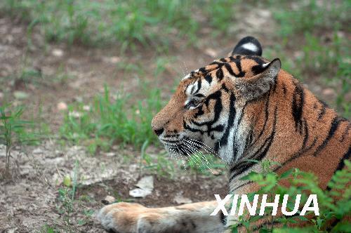 �c(di��n)���g�[��һ��