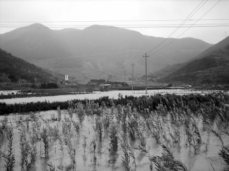 ����ˮ������߅���������ڳ�����ʯ�o�����ˡ���Ҫ���еİ��஀��ľȫ�����ͣ���