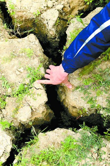 3��16�գ��V���|�m�h����ˮ���������򺵳��F��10�������ҵ��ѿp��