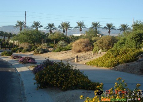 塢@ֲaoܽYψ@ֲ쾰PԭtcҪ