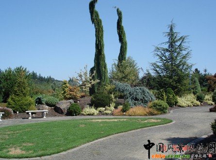 塢@ֲaoܽYψ@ֲ쾰PԭtcҪ