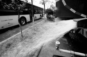 �����˳ɾG����ľ����ˮ���(�M�D)