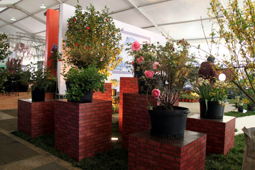 ʣһ(g)Ʒ@֪qһPˮƽć