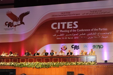 lΣҰֲNHQ׹sʮþsڶe