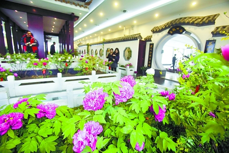 3��30�գ���ꖇ���ĵ���@�½���ĵ��չ�[�^�_�^