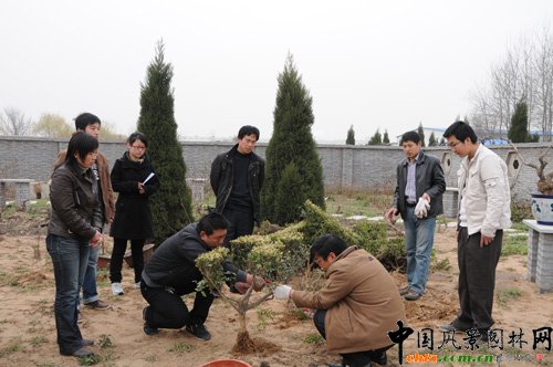 Ј@־G̎MW(xu)(x)辰