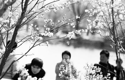 ���������� �������t�������ˡ�(�D)