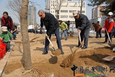 �׶��x��(w��)ֲ����