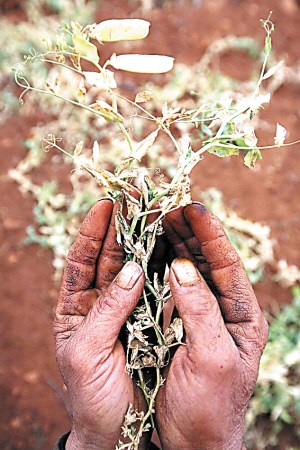 ����Ӱ���������a�I