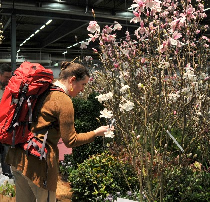 W@ˇչ˹¸砖Ħ_(ki)Ļ