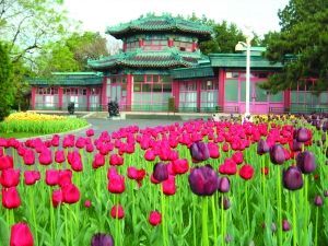 ��ɽ���@2010�괺���������㻨չ������c��(�D)