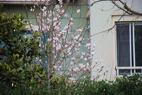 ���T·һ̎����ҵ�С�@��r�������`��