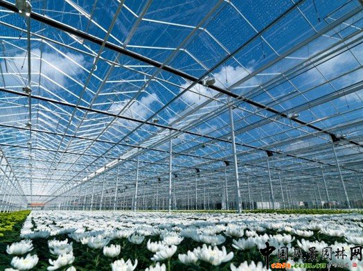 ���mʽ����