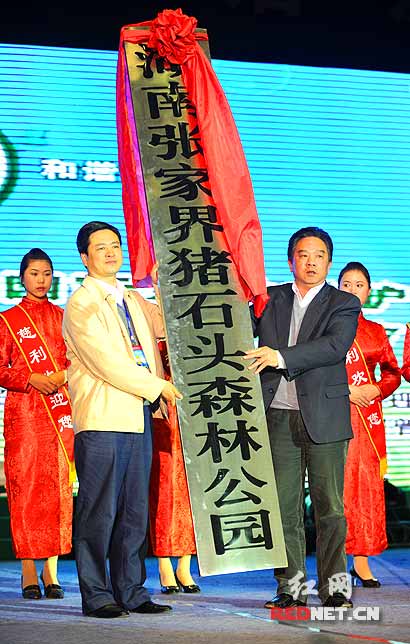 �����ҽ硿2010���ҽ���Hɭ����(ji��)�ߺ������B(t��i)�Ļ���(ji��)�_Ļ(�D)