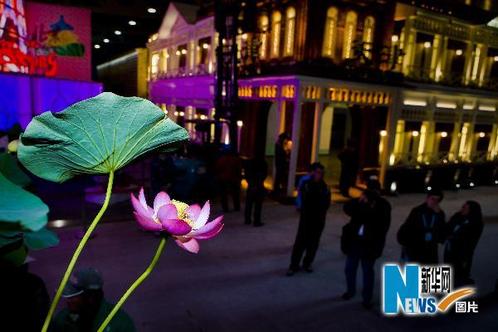 �c���M����һ�