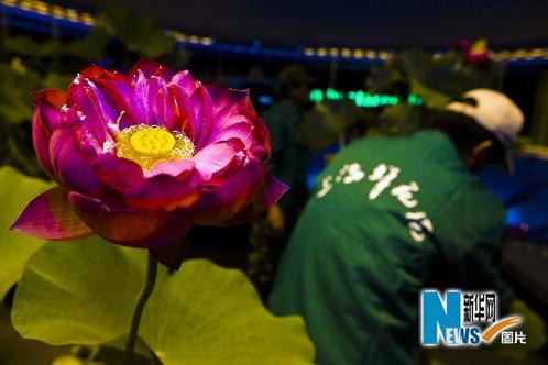 �c���M����һ�