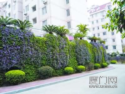 ������߅�µľG�����ʻ����ǽ������д�ֱ�G�����������c(di��n)��