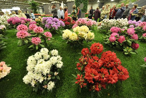 34øػչڱr(sh)и_(ki)Ļ