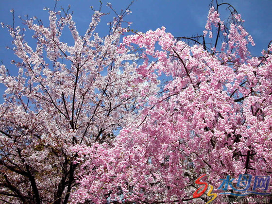 _ɽ@ѻ Ѕ^(q)ɭB(ti)ȵ